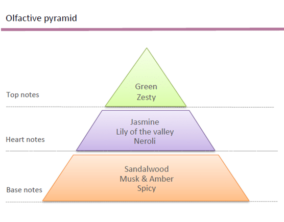 olfactory pyramid perfume
