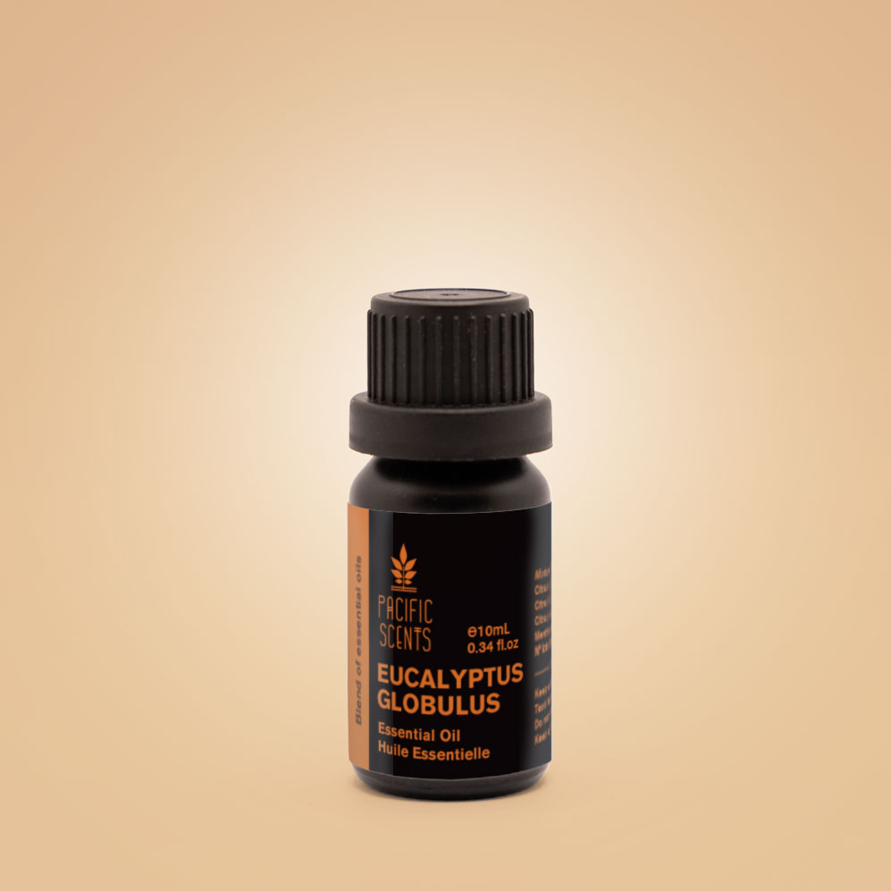 eucalyptus globulus essential oil