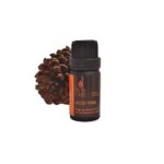 Scots Pine essential oil – Organic