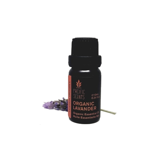 Lavender Officinalis essential oil – Organic