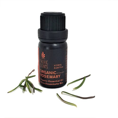 Rosemary (ct camphor) essential oil – Organic