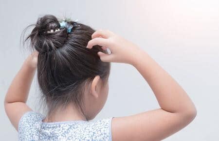 You are currently viewing An essential oil against lice? Yes, it works…
