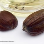 Jojoba oil for your skin and your hair