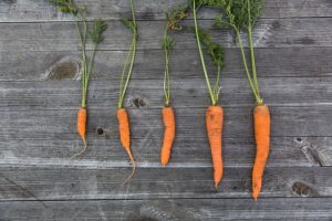Read more about the article What is carrot infused oil?