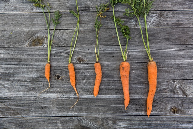 Read more about the article What is carrot infused oil?