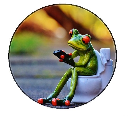 frog on toilet 
